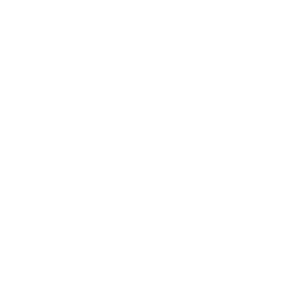 crt_logo_white-1